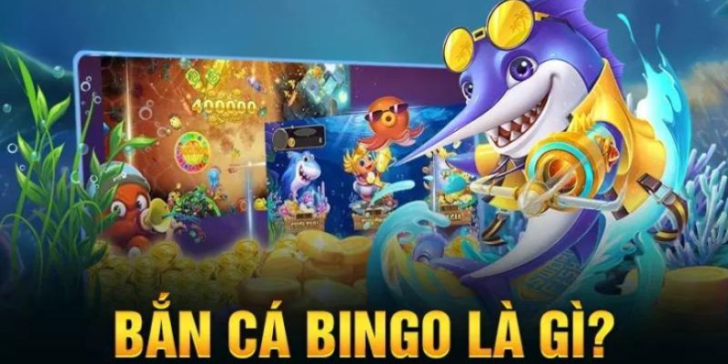 Bắn cá bingo thu hút lượng lớn ngư thủ trải nghiệm