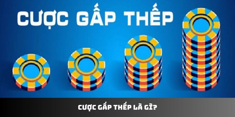 Cược gấp thếp là gì?