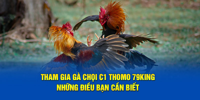 Tham Gia Gà Chọi C1 Thomo 79king – Những Điều Bạn Cần Biết